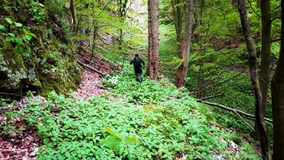 Unterwegs auf dem Alten Stolberg