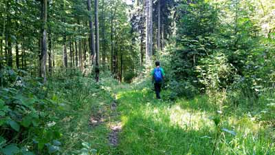 Wandern bei Friederichsbrunn
