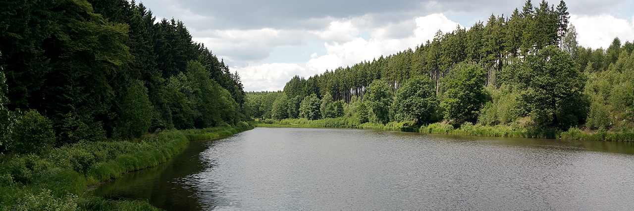 Der Obere Kiliansteich bei Straßberg Der Obere Kiliansteich bei Straßberg
