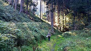 Dein Abenteuer Wandern im Harz
